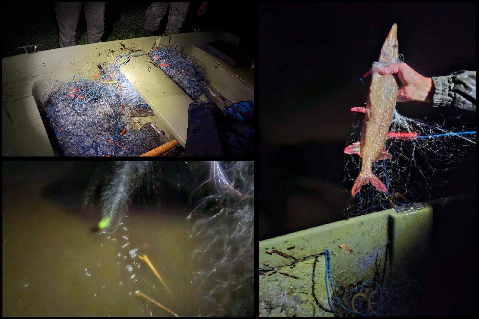 nielegalne-sieci-Radzyny