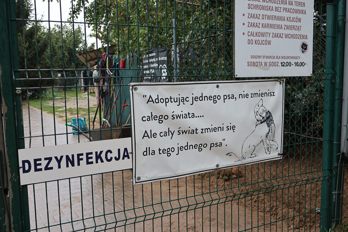 schronisko Przyborowko