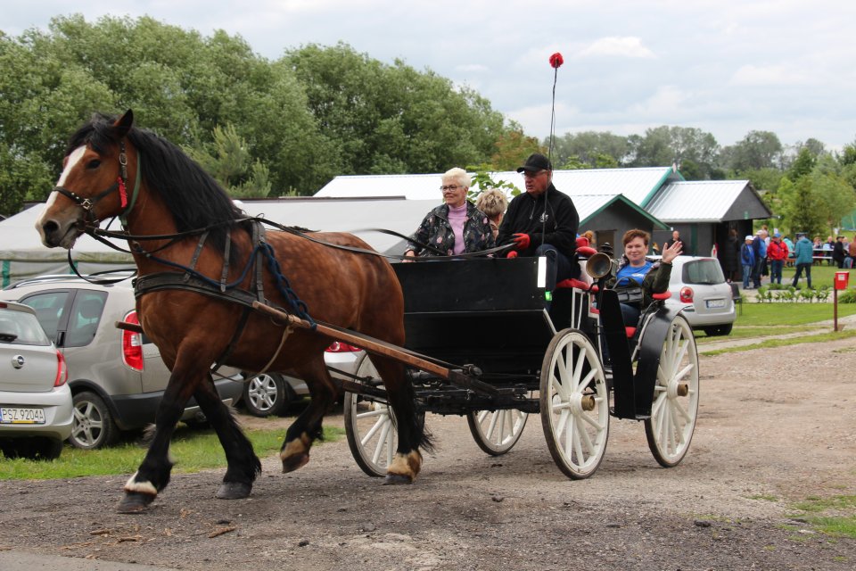 seniorada011