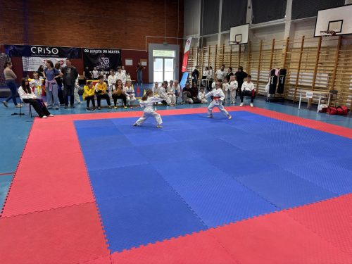 Karate-Cup-Oborniki-2026-0011