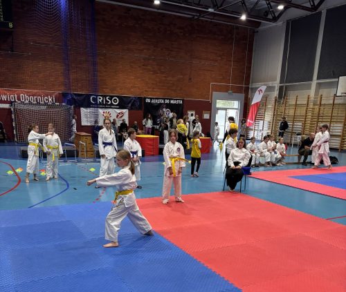 Karate-Cup-Oborniki-2026-0017