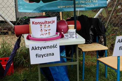 Pinik-PrzyborowkoII-2025-09