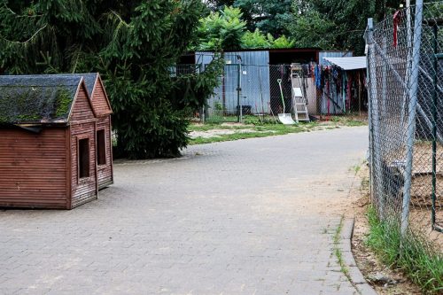 Pinik-PrzyborowkoII-2025-45