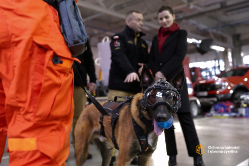 fot.-WUW-Poznan-Rafal-Krol-4