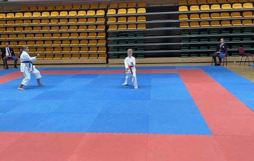 557773126 1344148457498640 3610758283620781985 n