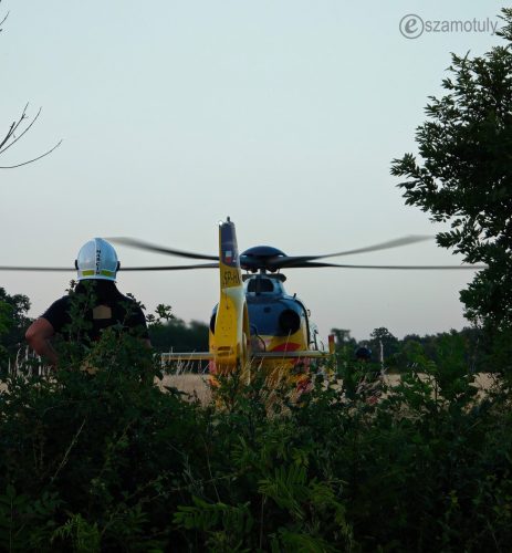 akcja-pamiatkowo-2026-0010