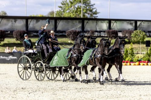 baborowko-drving-show-wrzesien-dzien3-0004