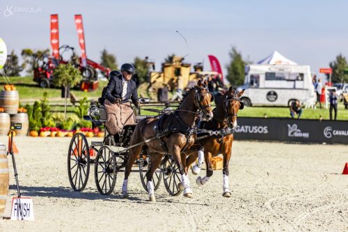 baborowko-drving-show-wrzesien-dzien3-0008