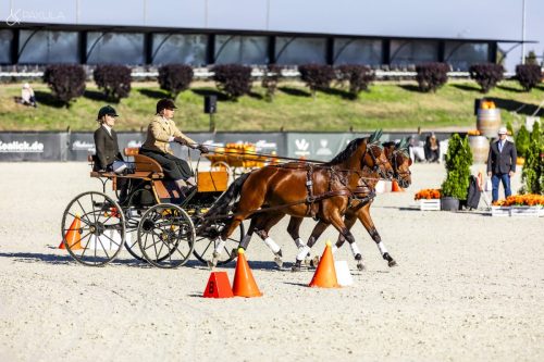 baborowko-drving-show-wrzesien-dzien3-0009