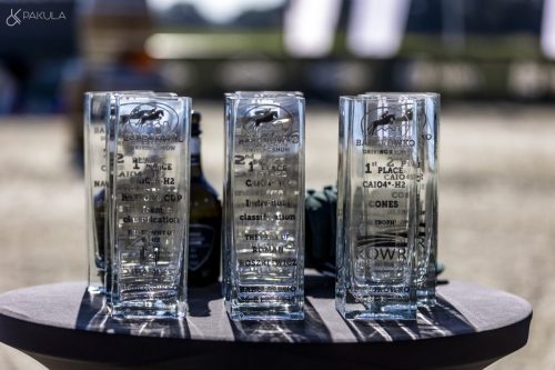 baborowko-drving-show-wrzesien-dzien3-0010