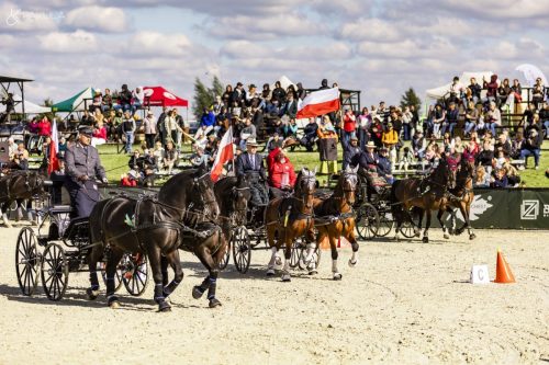 baborowko-drving-show-wrzesien-dzien3-0025