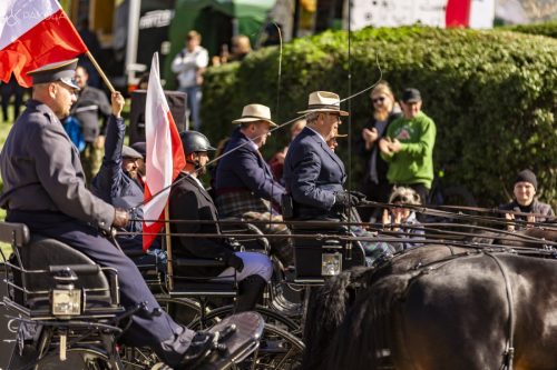 baborowko-drving-show-wrzesien-dzien3-0026