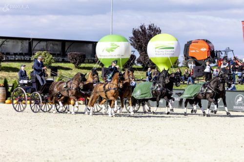 baborowko-drving-show-wrzesien-dzien3-0037