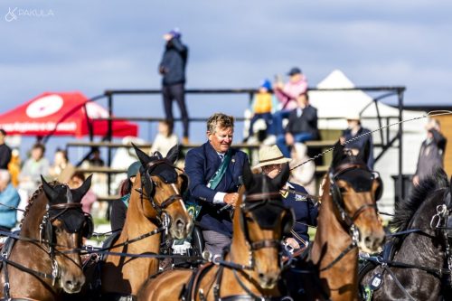 baborowko-drving-show-wrzesien-dzien3-0038