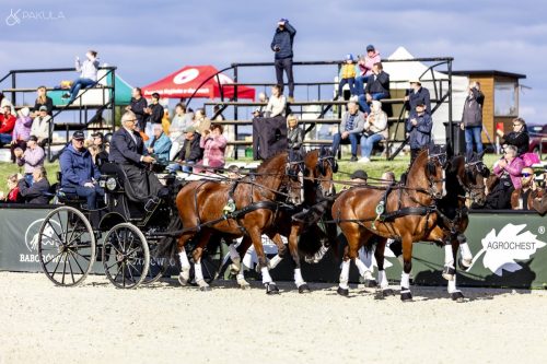 baborowko-drving-show-wrzesien-dzien3-0040