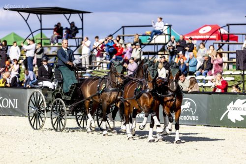 baborowko-drving-show-wrzesien-dzien3-0041