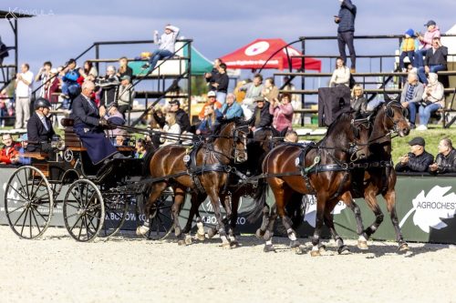 baborowko-drving-show-wrzesien-dzien3-0042