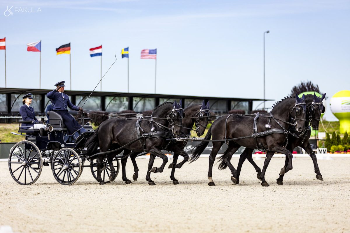 baborowko-drving-show-wrzesien-dzien1-0022