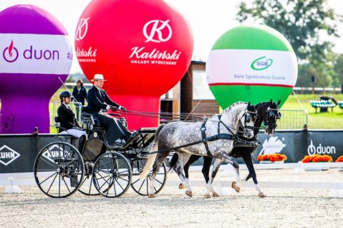 baborowko-drving-show-wrzesien-dzien1-0003