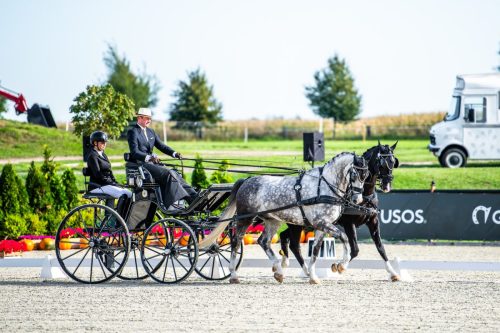 baborowko-drving-show-wrzesien-dzien1-0004