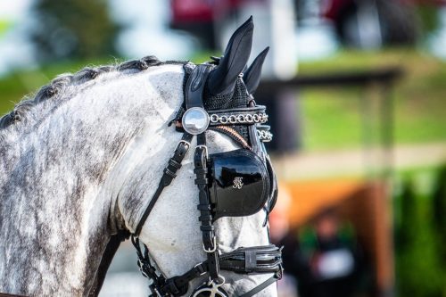 baborowko-drving-show-wrzesien-dzien1-0007