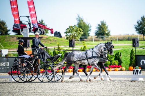 baborowko-drving-show-wrzesien-dzien1-0008