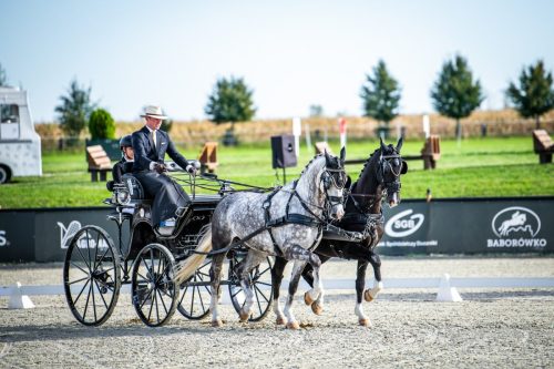 baborowko-drving-show-wrzesien-dzien1-0010