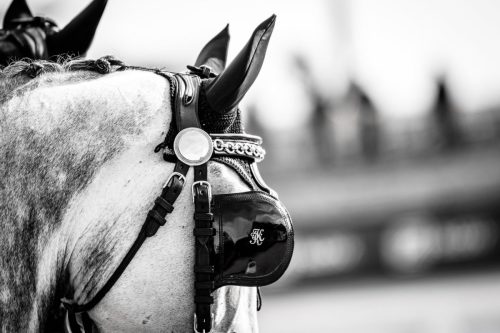 baborowko-drving-show-wrzesien-dzien1-0011