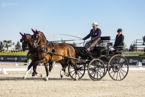 baborowko-drving-show-wrzesien-dzien1-0014