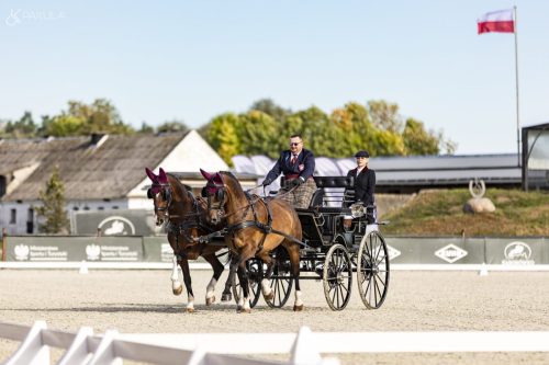 baborowko-drving-show-wrzesien-dzien1-0015