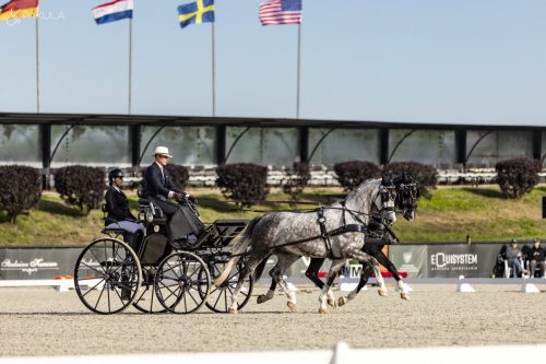 baborowko-drving-show-wrzesien-dzien1-0018