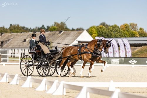 baborowko-drving-show-wrzesien-dzien1-0020