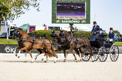 baborowko-drving-show-wrzesien-dzien1-0023