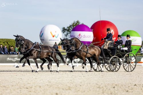 baborowko-drving-show-wrzesien-dzien1-0026