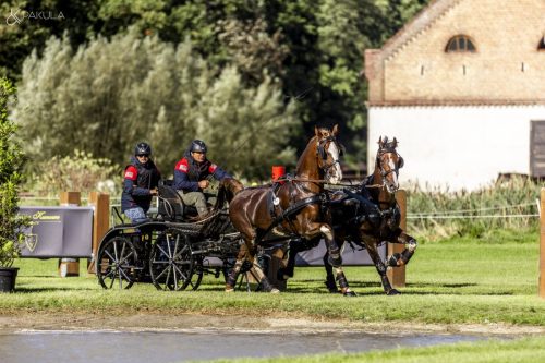 baborowko-drving-show-wrzesien-dzien2-0001