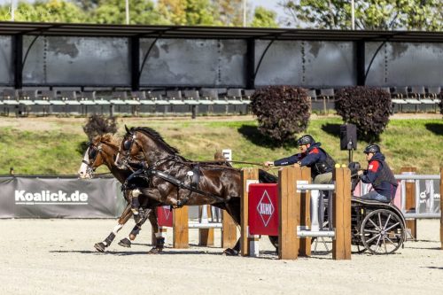 baborowko-drving-show-wrzesien-dzien2-0002