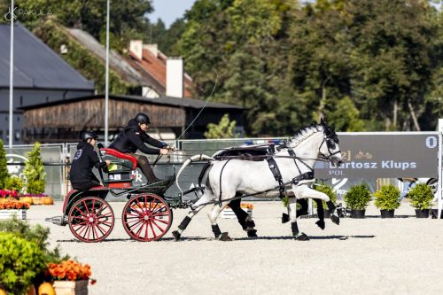 baborowko-drving-show-wrzesien-dzien2-0004