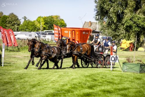 baborowko-drving-show-wrzesien-dzien2-0008