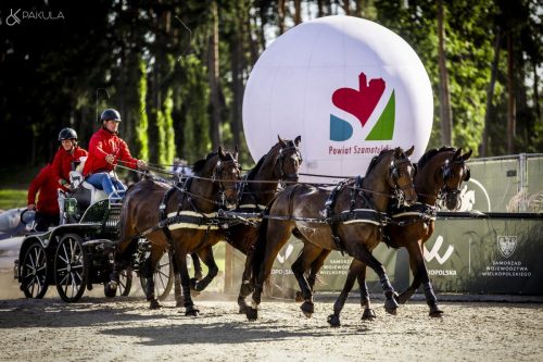 baborowko-drving-show-wrzesien-dzien2-0011