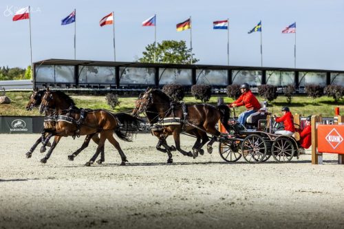 baborowko-drving-show-wrzesien-dzien2-0012