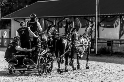 baborowko-drving-show-wrzesien-dzien2-0017