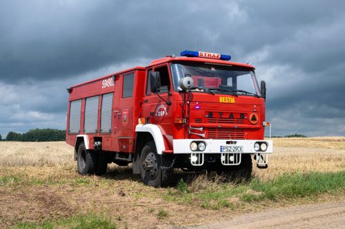 545784525 790153350067613 2197526822578622130 n