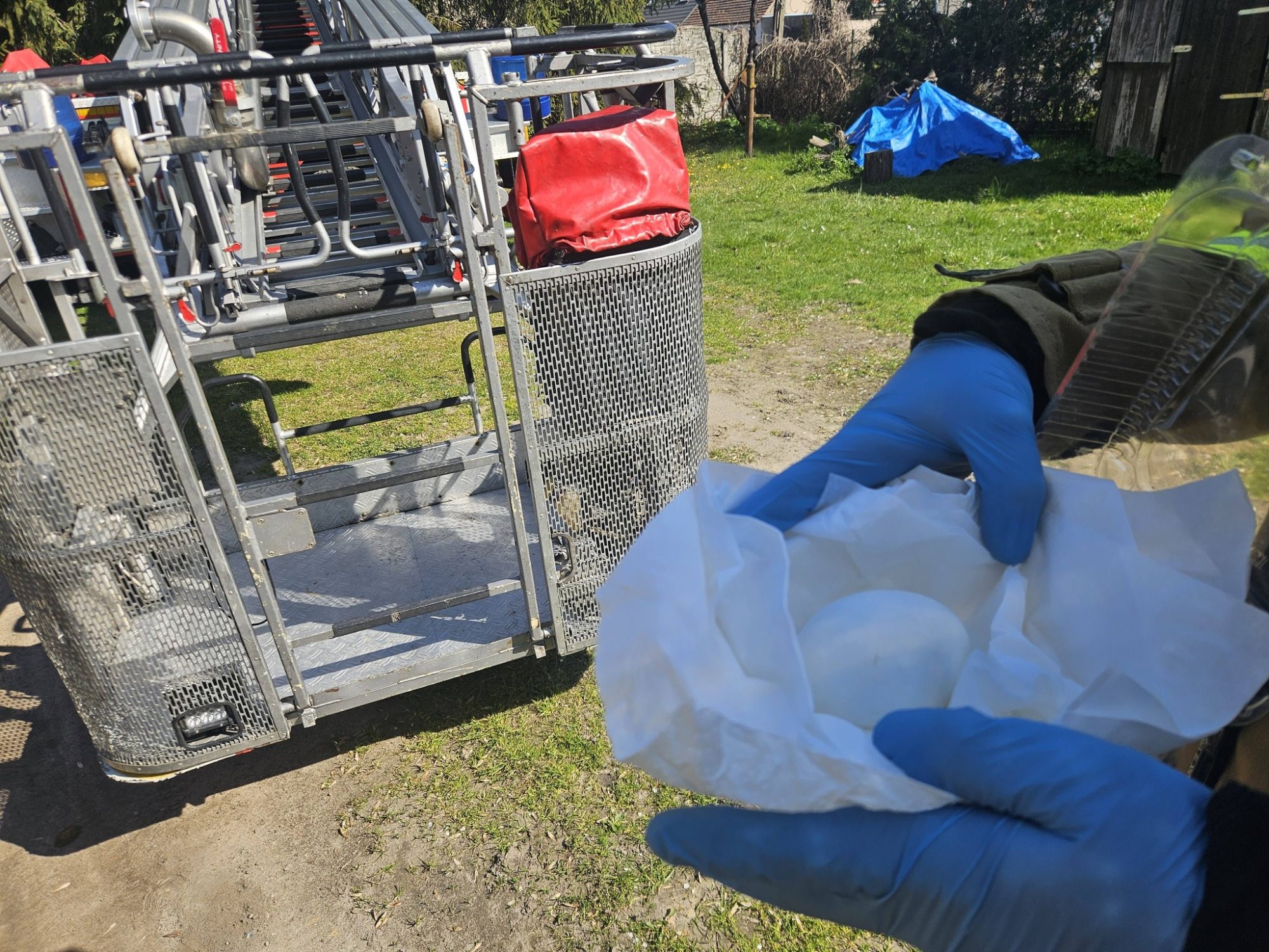 673402048 1061804856191942 268037190062028462 n