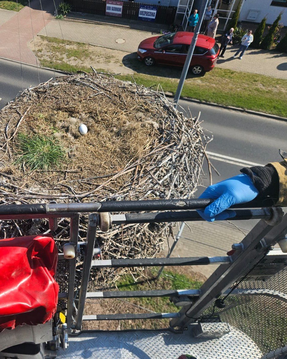 674681865 1581355430657083 1547057077324505153 n