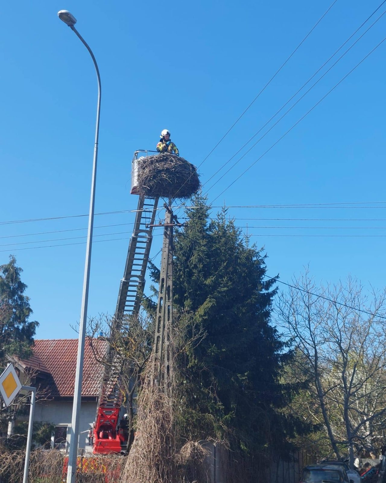 675600866 1581355457323747 7083908967978364216 n