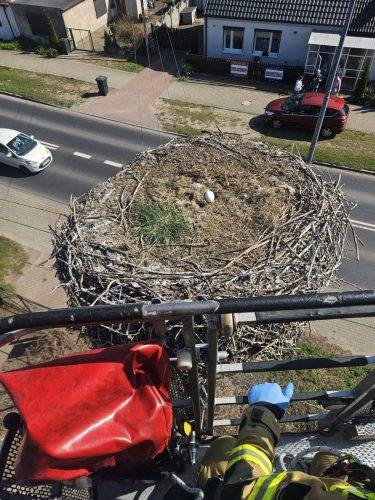 672682877 1061804926191935 5275932296223840903 n