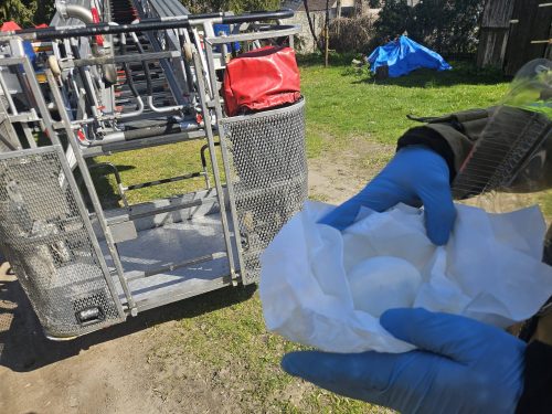 673402048 1061804856191942 268037190062028462 n