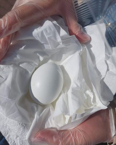 678160273 1581355453990414 7389432729335298617 n