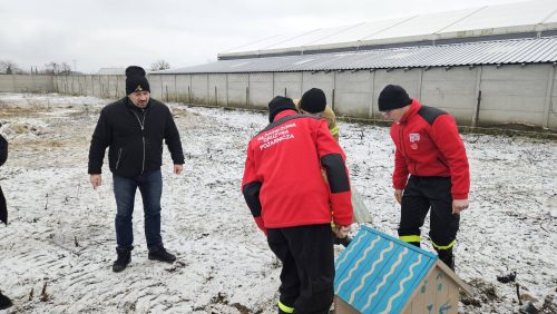 631545168 1240083394974029 3501055867946522654 n