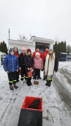 632460110 1240083504974018 7280985003216581541 n